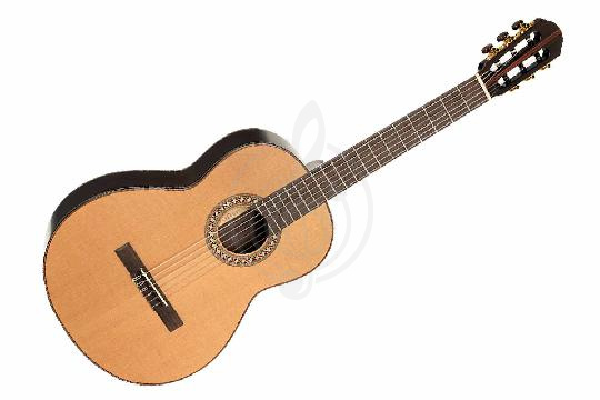 Классическая гитара 4/4 Parkwood CL400-NSG-wcase - Классическая гитара, Parkwood CL400-NSG-wcase в магазине Доминанта мьюзик - фото 1
