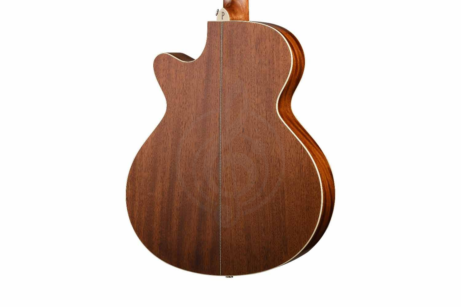 Электроакустическая гитара Parkwood P670-WCASE-NAT - Электроакустическая гитара, Parkwood P670-WCASE-NAT в магазине Доминанта мьюзик - фото 5
