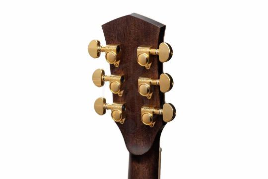 Акустическая гитара Parkwood P820ADK-WCASE-NAT - Акустическая гитара, Parkwood P820ADK-WCASE-NAT в магазине Доминанта мьюзик - фото 2