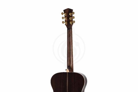 Акустическая гитара Parkwood P820ADK-WCASE-NAT - Акустическая гитара, Parkwood P820ADK-WCASE-NAT в магазине Доминанта мьюзик - фото 3