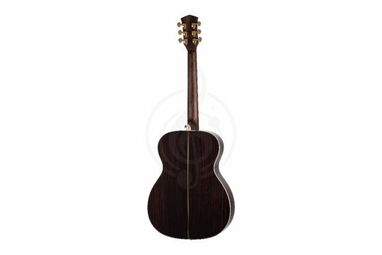 Акустическая гитара Parkwood P820ADK-WCASE-NAT - Акустическая гитара, Parkwood P820ADK-WCASE-NAT в магазине Доминанта мьюзик - фото 5