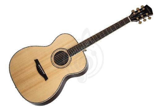 Изображение Акустическая гитара Parkwood P820ADK-WCASE-NAT