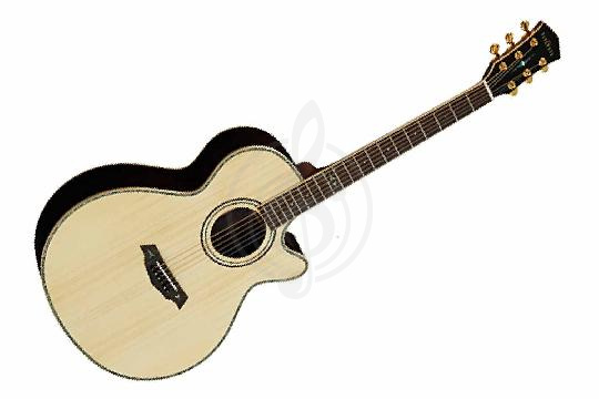 Изображение Электроакустическая гитара Parkwood P870ADK-WCASE-NAT