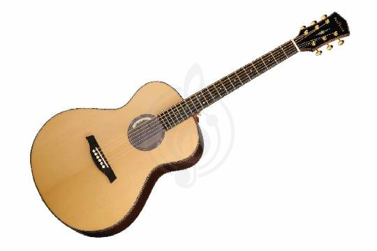 Изображение Электроакустическая гитара Parkwood P880-WCASE-NAT