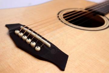 Акустическая гитара Акустические гитары Parkwood Parkwood S21-GT Акустическая гитара, дредноут, с чехлом, глянец S21-GT - фото 6