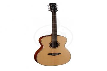 Акустическая гитара Акустические гитары Parkwood Parkwood S22-NS Акустическая гитара, с чехлом,  верхняя дека: массив ели S22-NS - фото 5