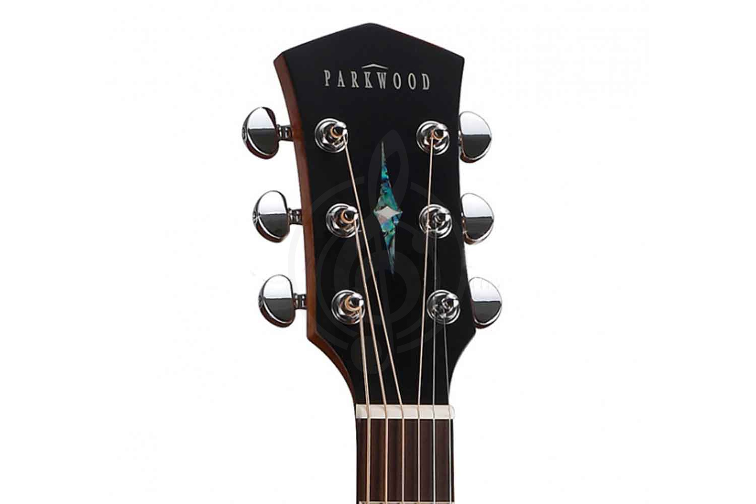 Акустическая гитара Акустические гитары Parkwood Parkwood S61 Акустическая гитара, дредноут S61 - фото 5