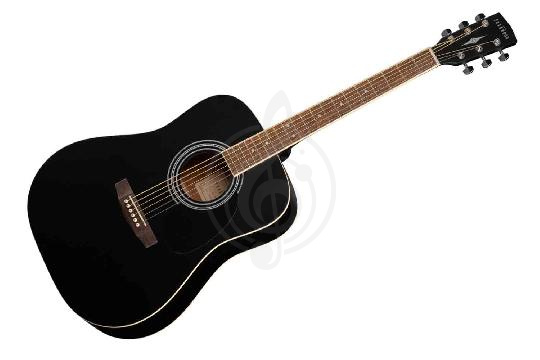 Изображение Акустическая гитара Parkwood W81-WBAG-BKS
