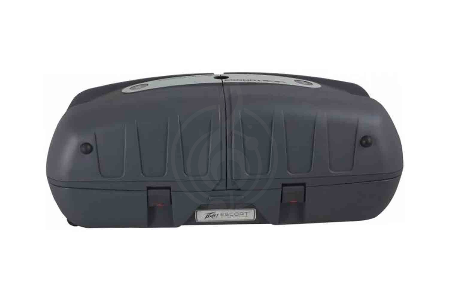 Мобильный звуковой комплект PEAVEY Escort 6000 - Мобильная акустическая система, Peavey Escort 6000 в магазине DominantaMusic - фото 3