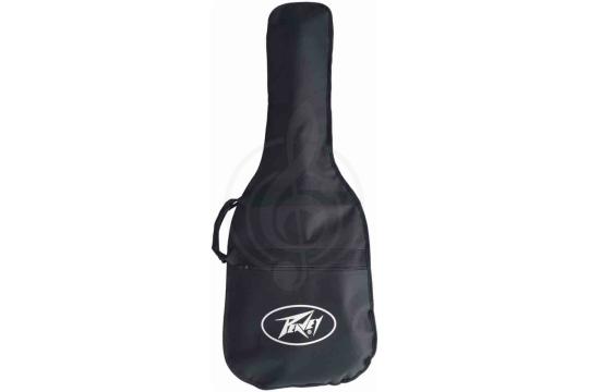 Комплект электрогитары PEAVEY Raptor Plus Pack Black - Электрогитара, комплект, Peavey Raptor Plus Pack Black в магазине DominantaMusic - фото 2