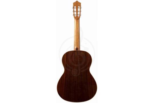 Классическая гитара 4/4 PEREZ 620 Spruce - Классическая гитара, Perez 620 Spruce в магазине DominantaMusic - фото 2