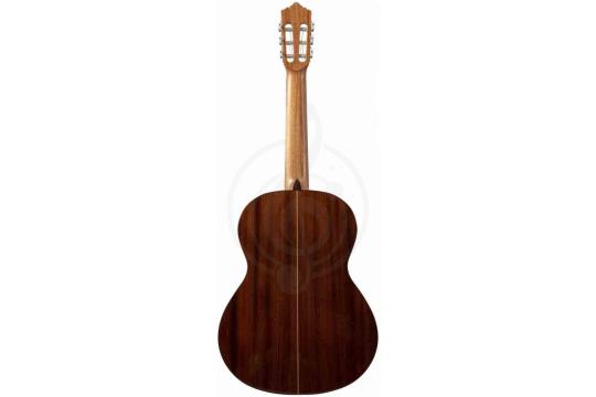 Классическая гитара 4/4 PEREZ 630 Spruce - Классическая гитара, Perez 630 Spruce в магазине DominantaMusic - фото 2