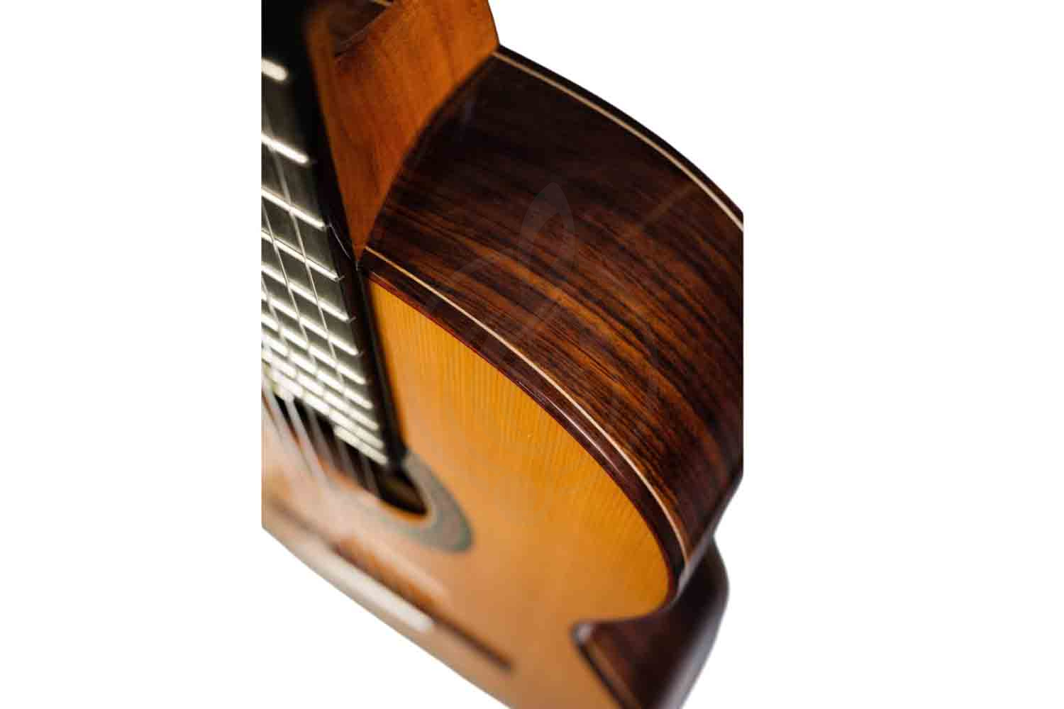 Классическая гитара 4/4 PEREZ 640 Cedar - Классическая гитара,  640 Cedar в магазине DominantaMusic - фото 