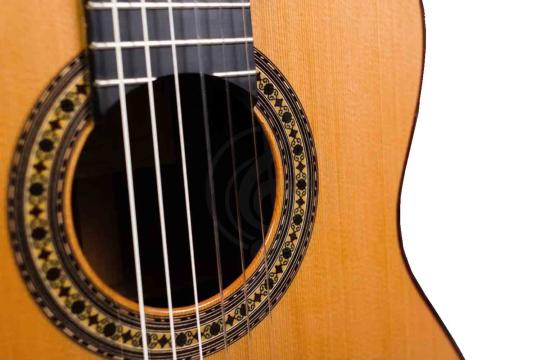 Классическая гитара 4/4 PEREZ 650 Cedar - Классическая гитара, Perez 650 Cedar в магазине DominantaMusic - фото 4