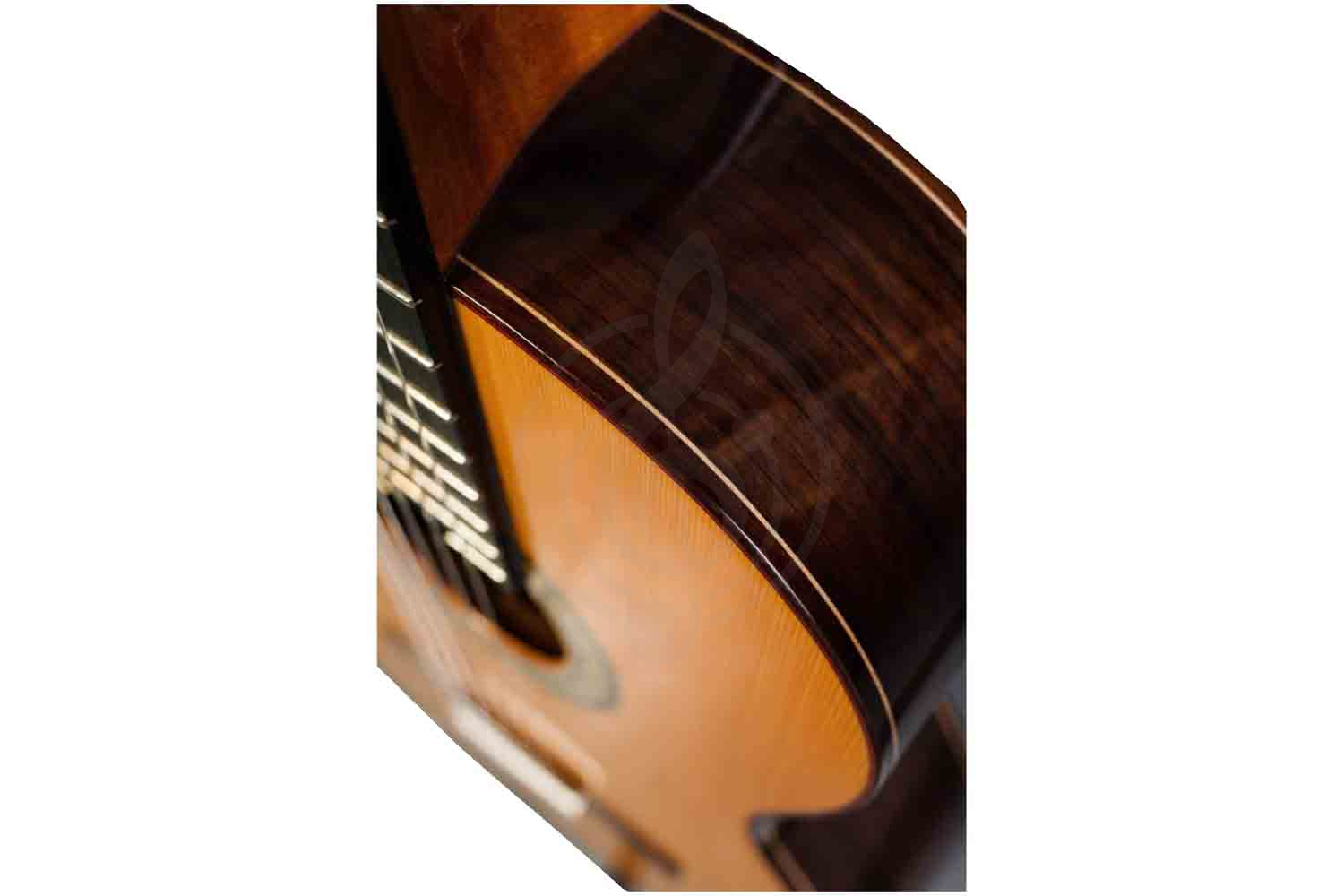 PEREZ 650 Cedar - Классическая гитара - фото 5 Классическая гитара 4/4 PEREZ 650 Cedar - Классическая гитара, 650 Cedar в магазине DominantaMusic - фото 5