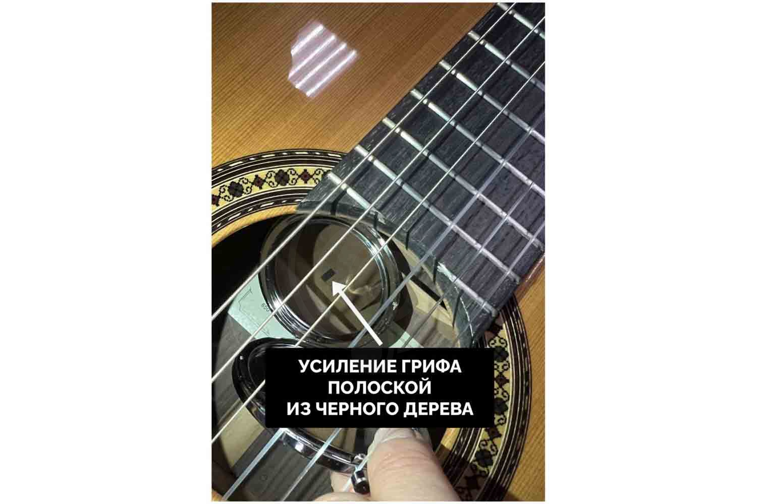 PEREZ 650 Cedar - Классическая гитара - фото 6 Классическая гитара 4/4 PEREZ 650 Cedar - Классическая гитара, 650 Cedar в магазине DominantaMusic - фото 6