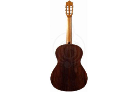 Классическая гитара 4/4 PEREZ 650 Spruce - Классическая гитара, Perez 650 Spruce в магазине DominantaMusic - фото 2