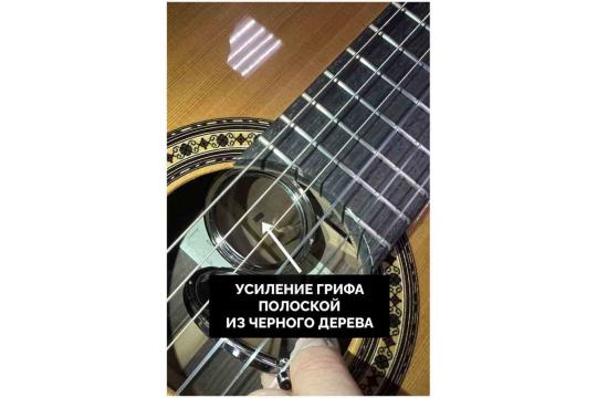 Классическая гитара 4/4 PEREZ 650 Spruce - Классическая гитара, Perez 650 Spruce в магазине DominantaMusic - фото 5