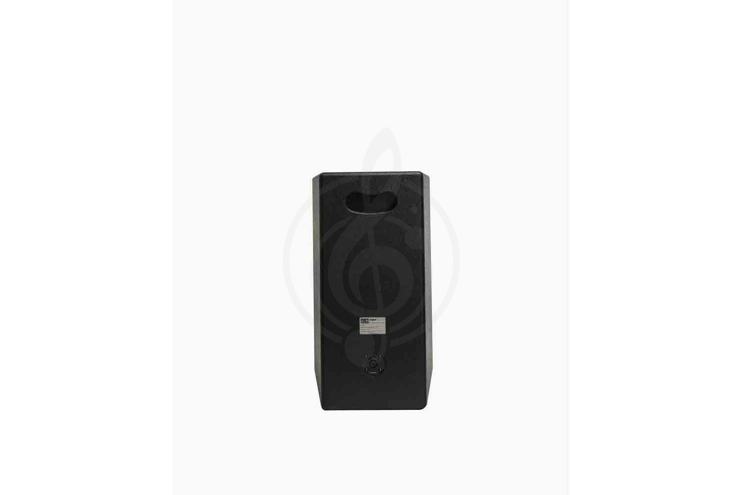 Пассивная акустическая система Port Audio TDS110 - Акустическая система пассивная, Port Audio TDS110 в магазине Доминанта мьюзик - фото 3