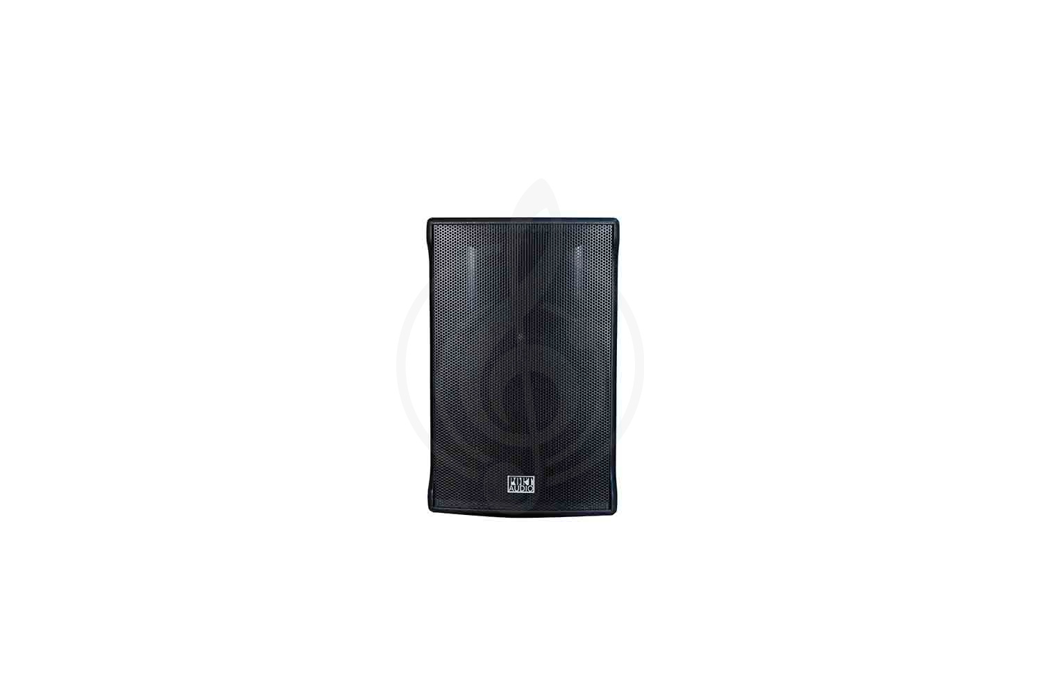 Активная акустическая система Port Audio TDS115A PRO - Акустическая система активная, Port Audio TDS115A в магазине Доминанта мьюзик - фото 2