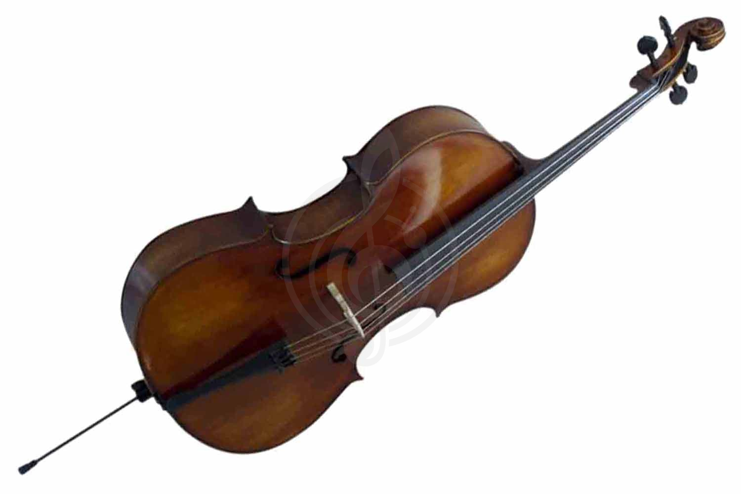 Виолончель 4/4 Prima P-480 4/4 Cello - Виолончель 4/4, Prima P-480 4/4 Cello в магазине DominantaMusic - фото 1