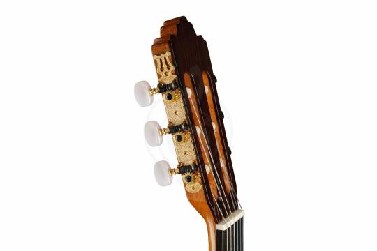 Классическая гитара 4/4 Prodipe JMFSOLOIST700 - Классическая гитара, Prodipe JMFSOLOIST700 в магазине Доминанта мьюзик - фото 2