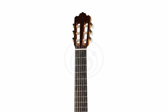Классическая гитара 4/4 Prodipe JMFSOLOIST700 - Классическая гитара, Prodipe JMFSOLOIST700 в магазине Доминанта мьюзик - фото 4