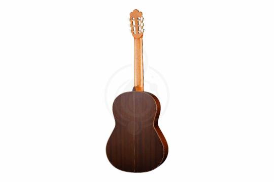Классическая гитара 4/4 Prodipe JMFSOLOIST700 - Классическая гитара, Prodipe JMFSOLOIST700 в магазине Доминанта мьюзик - фото 7
