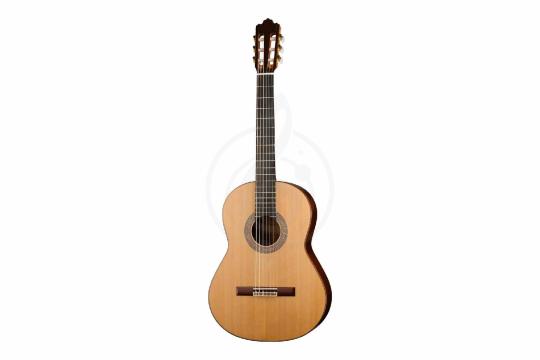 Классическая гитара 4/4 Prodipe JMFSOLOIST700 - Классическая гитара, Prodipe JMFSOLOIST700 в магазине Доминанта мьюзик - фото 8
