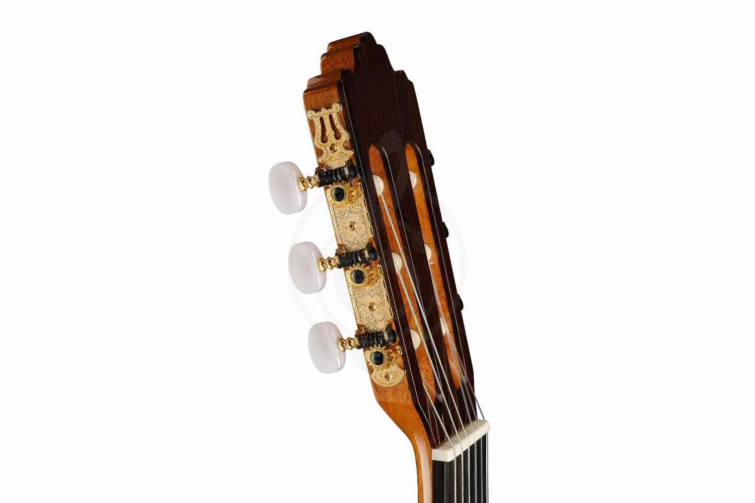 Классическая гитара 4/4 Prodipe JMFSOLOIST700 - Классическая гитара, Prodipe JMFSOLOIST700 в магазине Доминанта мьюзик - фото 2