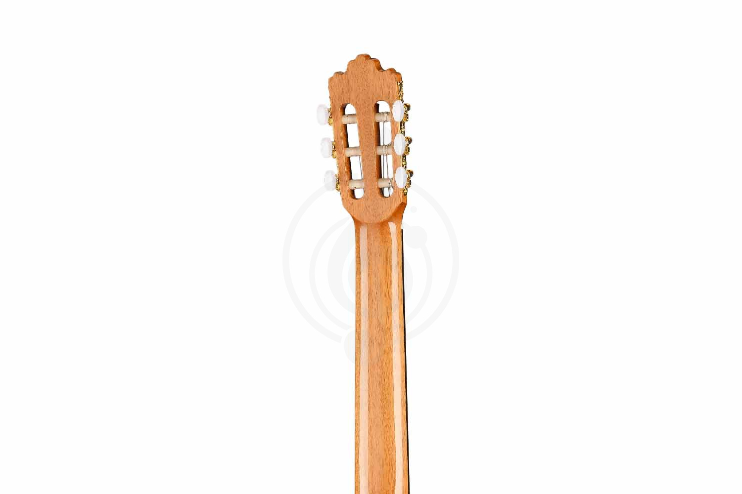 Классическая гитара 4/4 Prodipe JMFSOLOIST700 - Классическая гитара, Prodipe JMFSOLOIST700 в магазине Доминанта мьюзик - фото 3