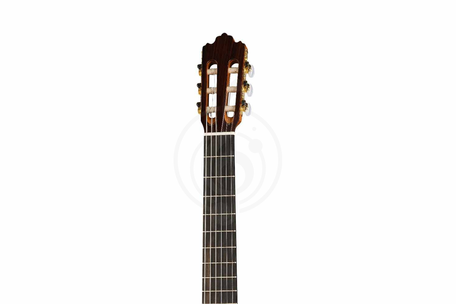 Классическая гитара 4/4 Prodipe JMFSOLOIST700 - Классическая гитара, Prodipe JMFSOLOIST700 в магазине Доминанта мьюзик - фото 4