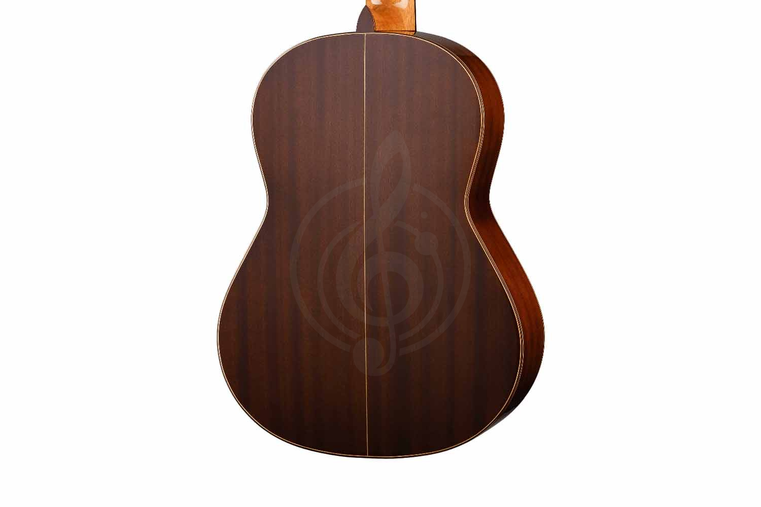 Классическая гитара 4/4 Prodipe JMFSOLOIST700 - Классическая гитара, Prodipe JMFSOLOIST700 в магазине Доминанта мьюзик - фото 5