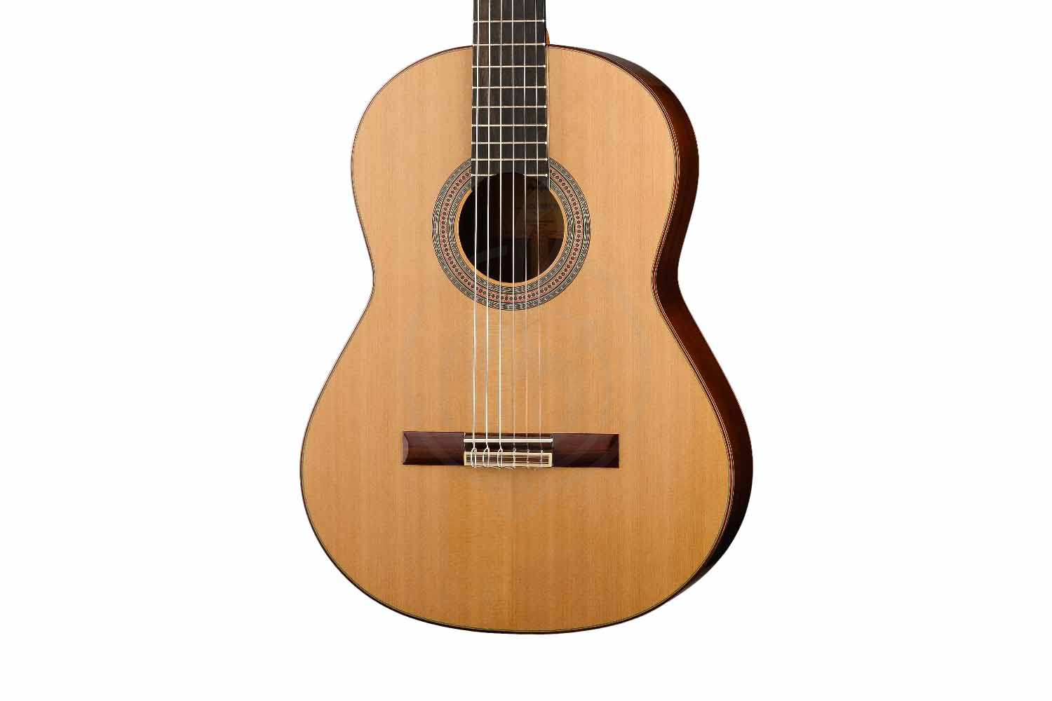 Классическая гитара 4/4 Prodipe JMFSOLOIST700 - Классическая гитара, Prodipe JMFSOLOIST700 в магазине Доминанта мьюзик - фото 6