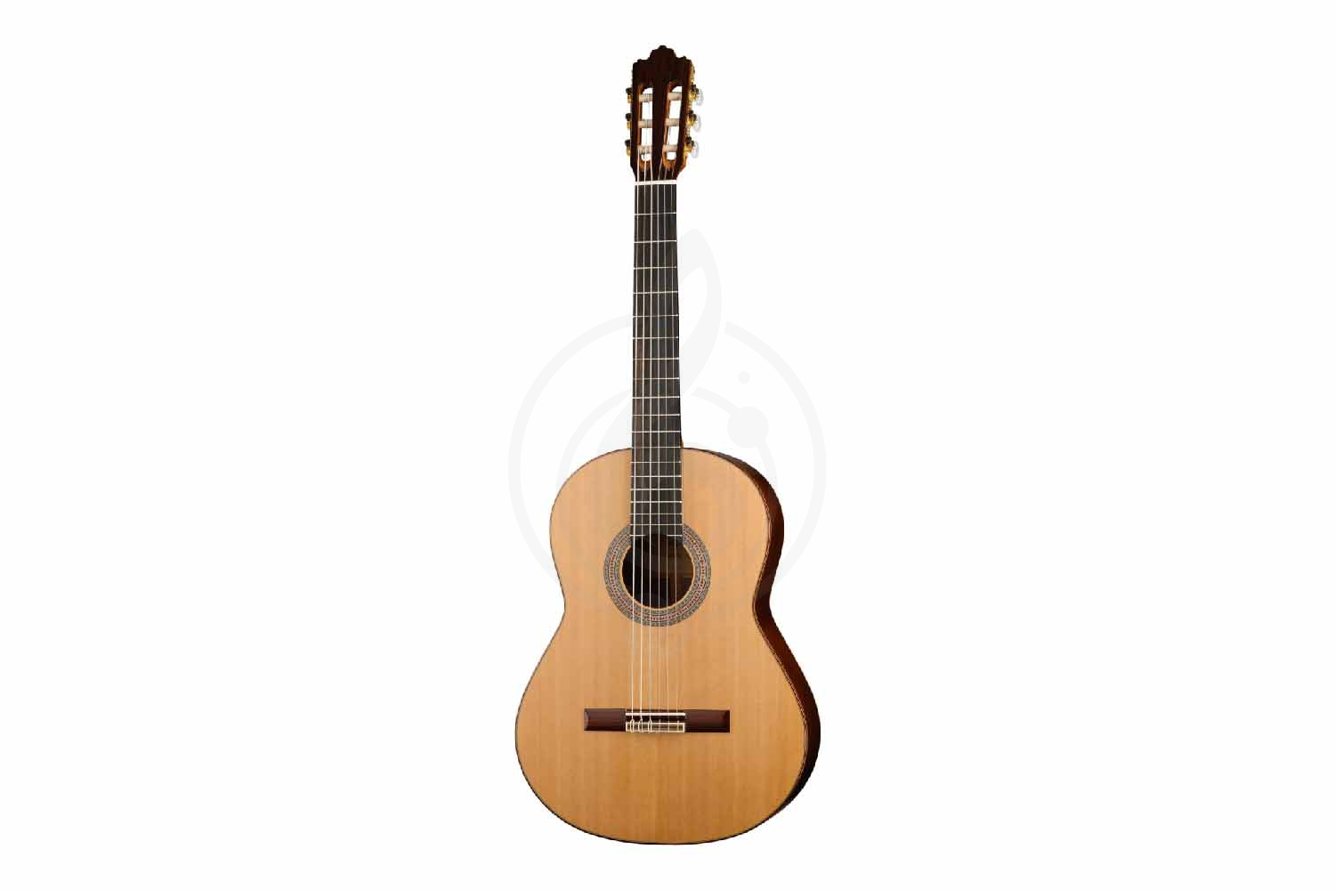 Классическая гитара 4/4 Prodipe JMFSOLOIST700 - Классическая гитара, Prodipe JMFSOLOIST700 в магазине Доминанта мьюзик - фото 8