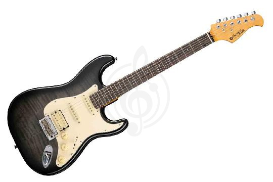 Электрогитара Stratocaster Prodipe JMFST93ALDERTBK - Электрогитара, Prodipe JMFST93ALDERTBK в магазине DominantaMusic - фото 1