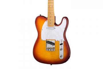 Электрогитара Telecaster Prodipe JMFTC90ALDERHB - Электрогитара,  JMFTC90ALDERHB в магазине DominantaMusic - фото 5