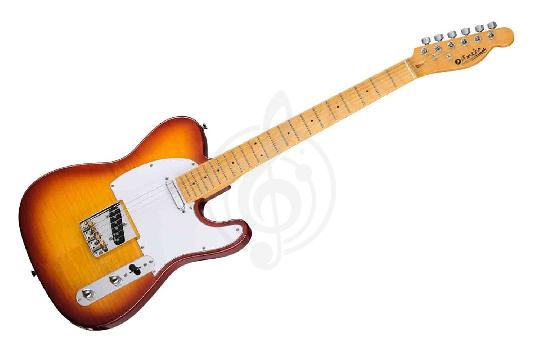 Изображение Электрогитара Telecaster Prodipe JMFTC90ALDERHB