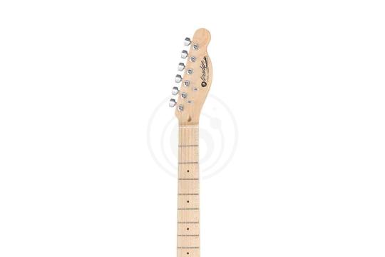 Электрогитара Telecaster Prodipe JMFTC90ALDERNAT - Электрогитара,  JMFTC90ALDERNAT в магазине DominantaMusic - фото 6