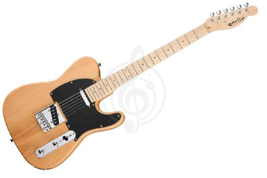 Изображение Электрогитара Telecaster Prodipe JMFTC90ALDERNAT