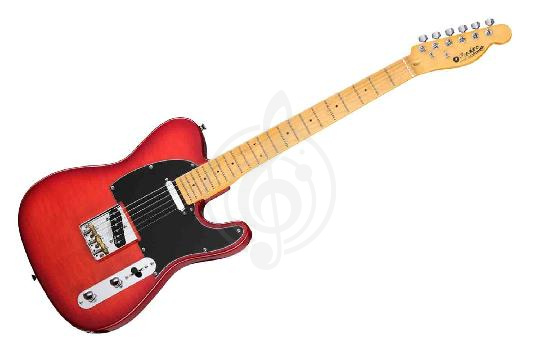 Изображение Электрогитара Telecaster Prodipe JMFTC90ALDERTRD