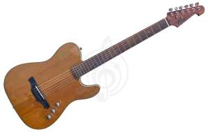 Изображение Электрогитара Telecaster Ramis RA-39TL