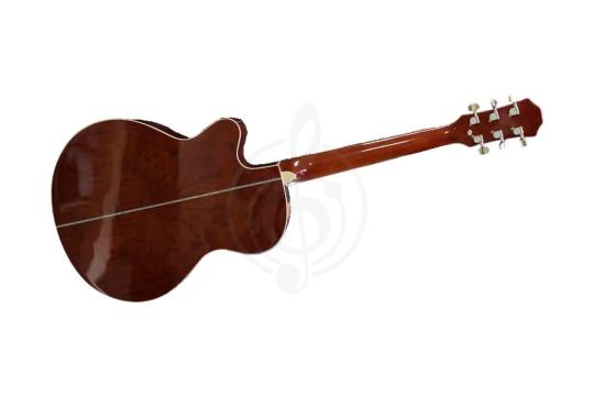 Акустическая гитара Ramis RA-C02C - Акустическая гитара, Ramis RA-C02C в магазине DominantaMusic - фото 3