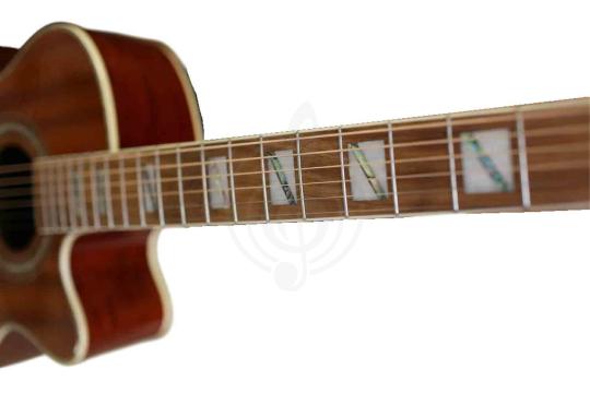 Акустическая гитара Ramis RA-C02C - Акустическая гитара, Ramis RA-C02C в магазине DominantaMusic - фото 5