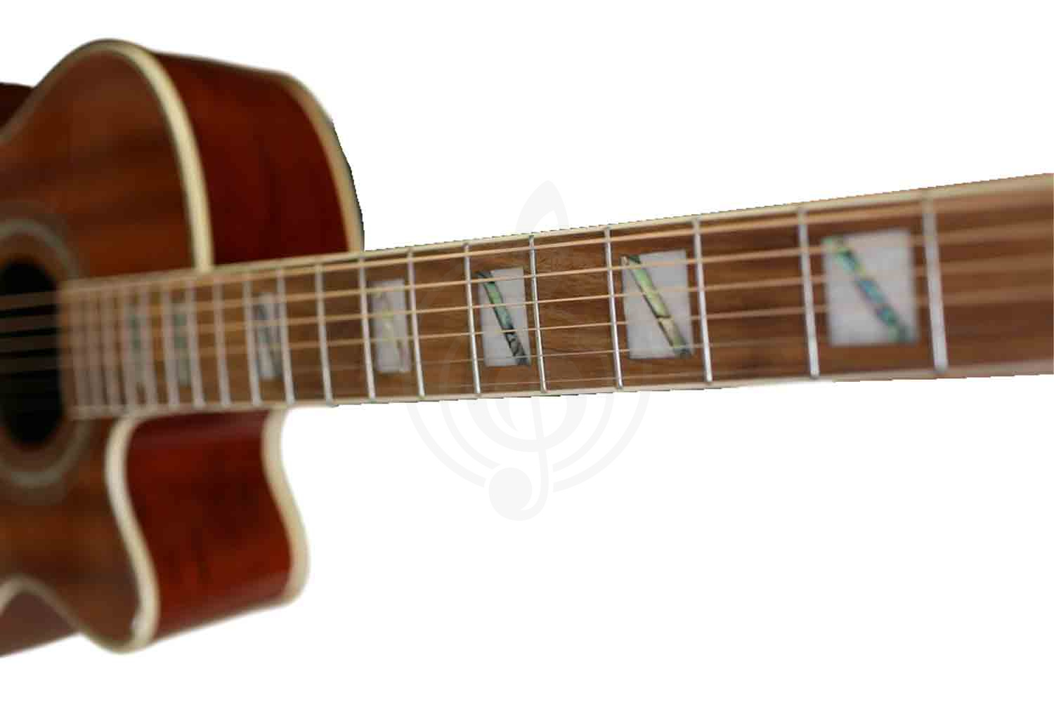 Акустическая гитара Ramis RA-C02C - Акустическая гитара, Ramis RA-C02C в магазине DominantaMusic - фото 5