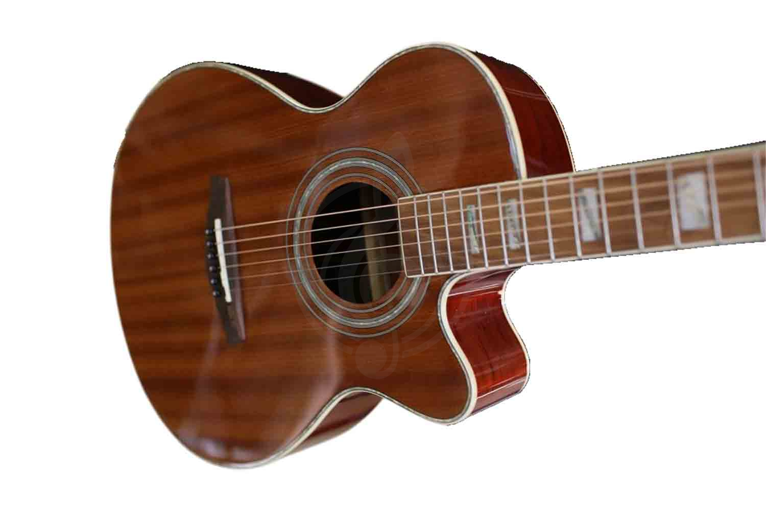 Акустическая гитара Ramis RA-C02C - Акустическая гитара, Ramis RA-C02C в магазине DominantaMusic - фото 6