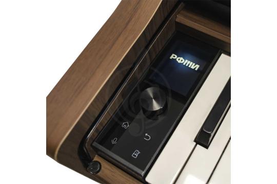 Цифровое пианино РФМИ DP500Walnut - Цифровое фортепиано с банкеткой, цвет коричневый,  DP500Walnut в магазине DominantaMusic - фото 