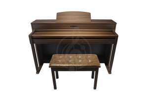Изображение РФМИ DP500Walnut