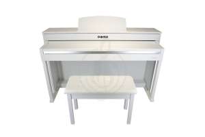 Изображение РФМИ DP500WH