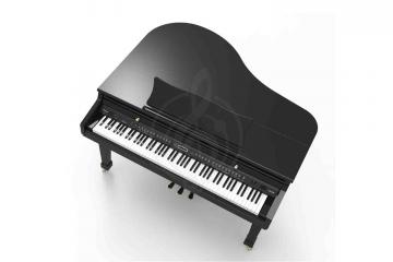Цифровое пианино Ringway GDP6320 Polish Black - Цифровой рояль кабинетный, Ringway GDP6320 Polish Black в магазине DominantaMusic - фото 3